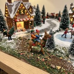 52529 - Reindeer Rides