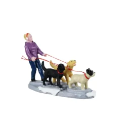 42361 - Dog Walker