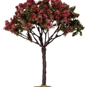 44797 - Linden Tree, Medium
