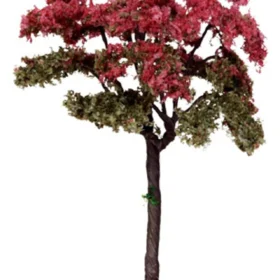 44802 - Linden Tree, Small